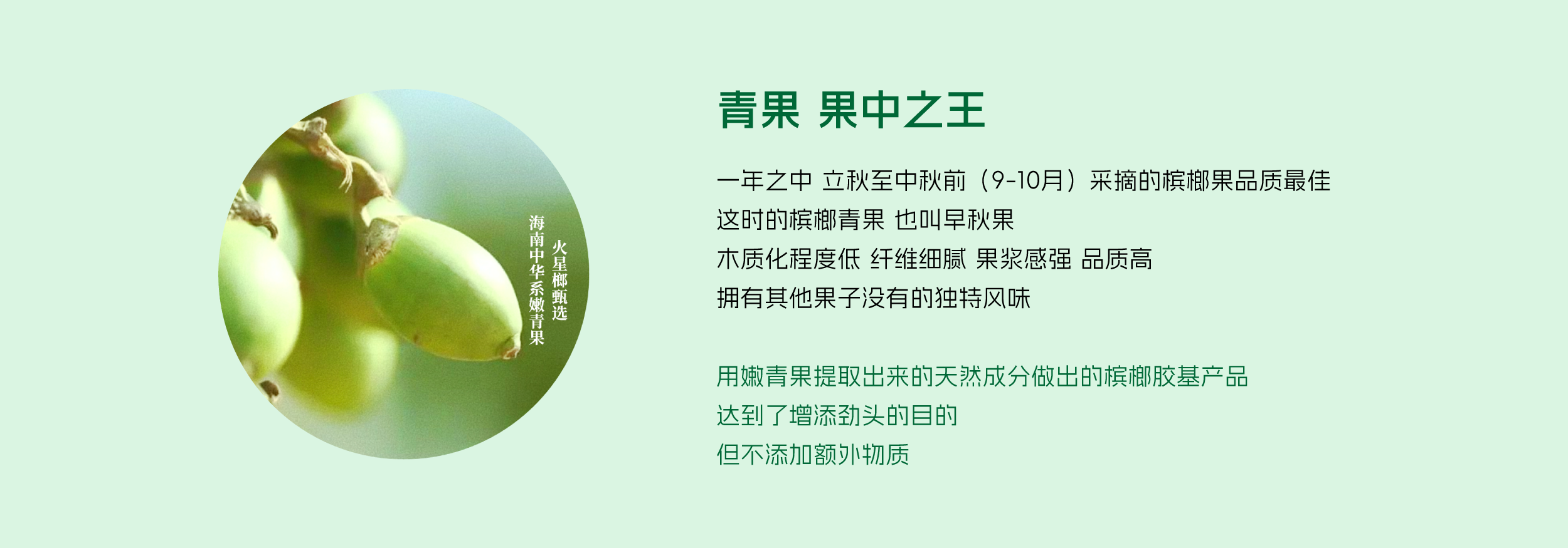 精萃青果工艺